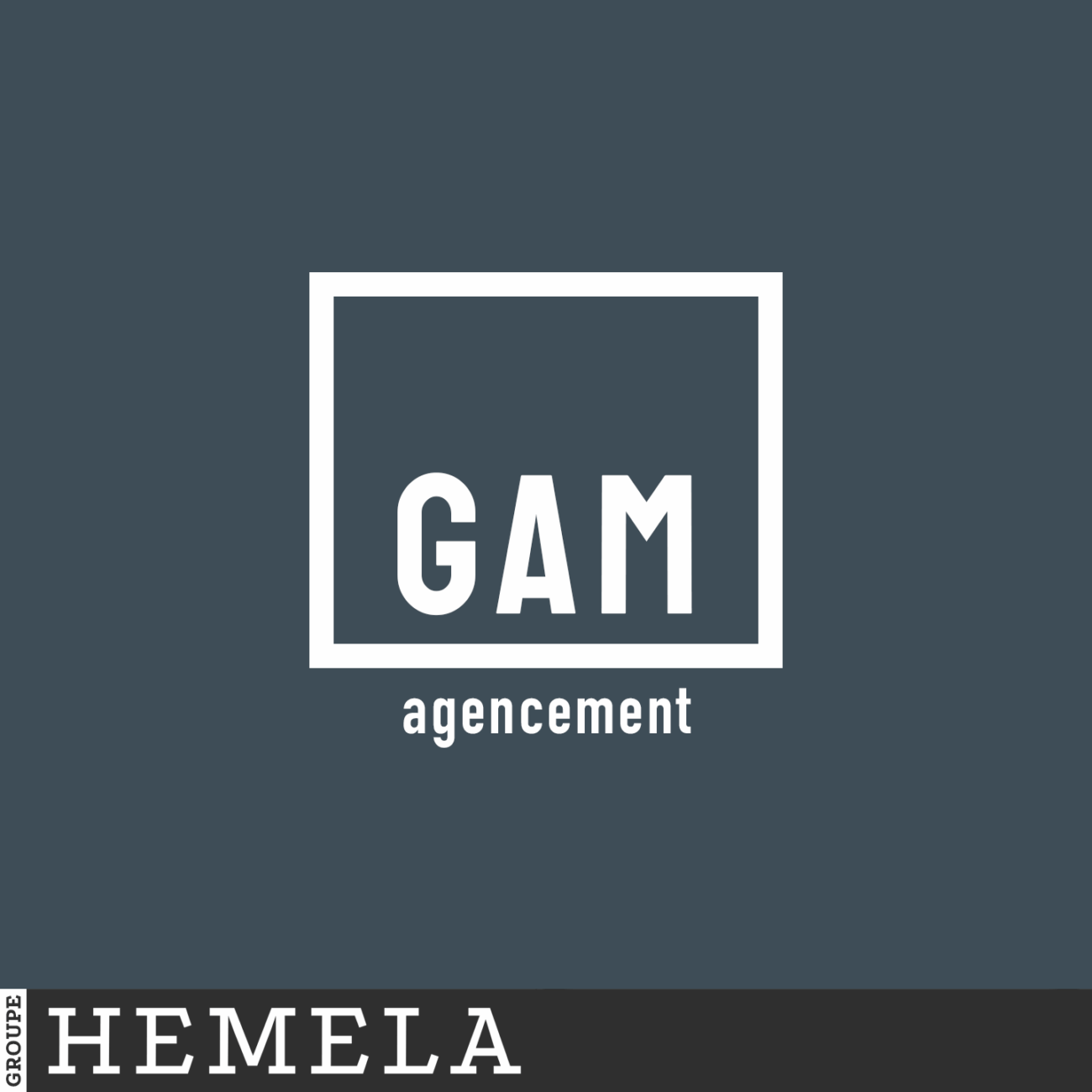 pro a gam ag logo gam hemela 03